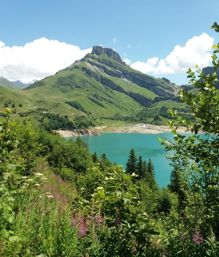 Chalet De Roselend ボーフォール エクステリア 写真