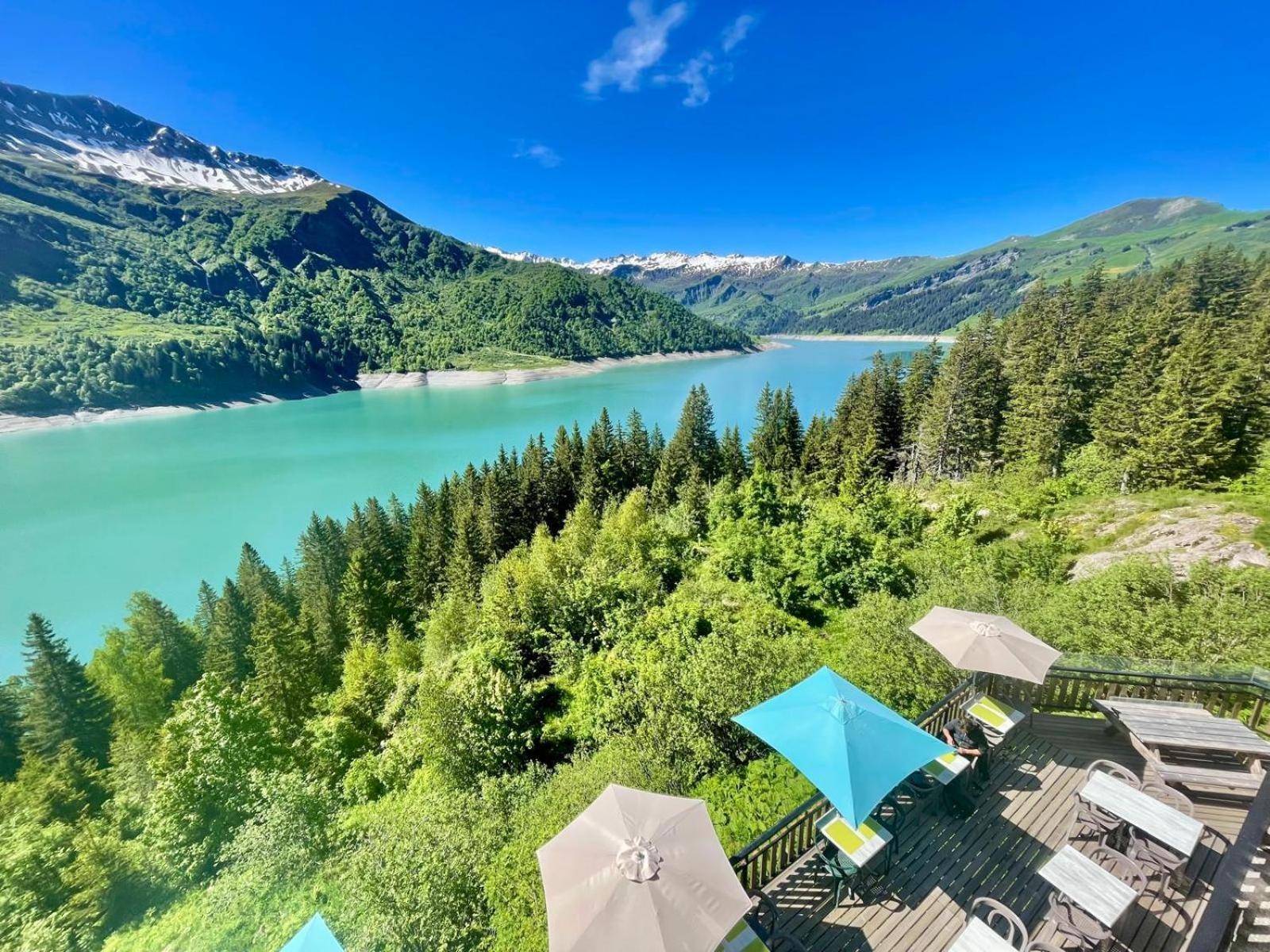 Chalet De Roselend ボーフォール エクステリア 写真